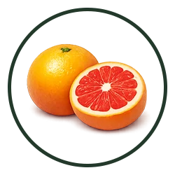 Green Gate - Fresh Fruits - 04