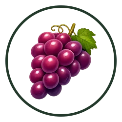 Green Gate - Fresh Fruits - 07