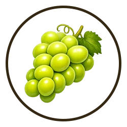 Green Gate - Fresh Fruits - 08