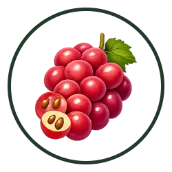 Green Gate - Fresh Fruits - 09