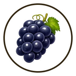 Green Gate - Fresh Fruits - 10