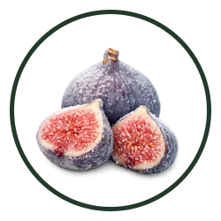 Green Gate - Frozen Fruits - 06